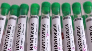 Virginia Department of Health monitoring hantavirus exposure after passenger returns to commonwealth