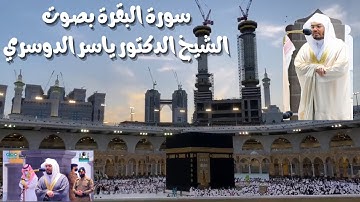 تلاوة جملية تبعث الطمأنينة في قلب ❤️🩹🌱 الشيخ #ياسر_الدوسري #سورة_البقرة من دون إعلانات