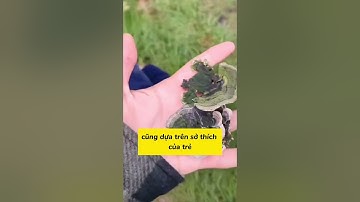 Lùi một bước để tiến cả chục bước #ghiennuocduc #ghiengermany #duhocduc #thinhhanh #xuhuong #trendin