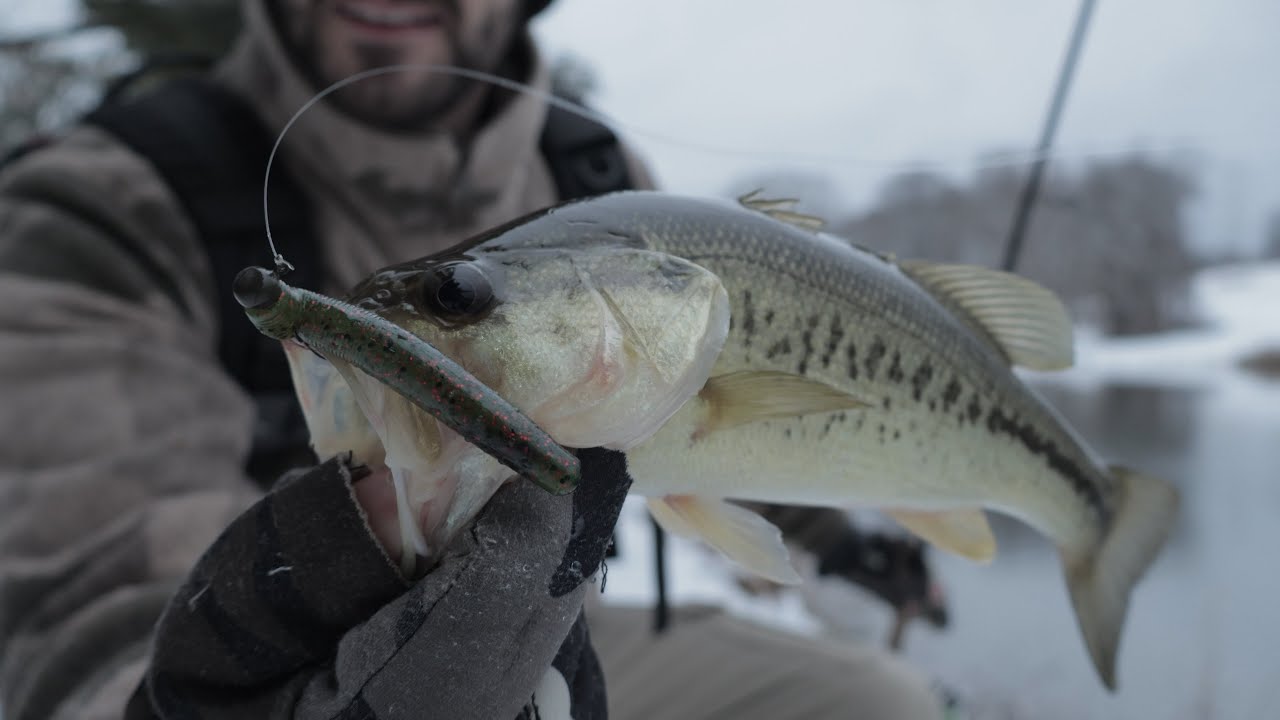 Winter Fishing With Ned Rig