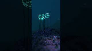 Sea Emperor Juveniles
