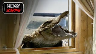 Lake Placid 3 | Crocs Attack The House