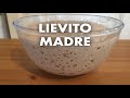 Lievito madre da zero