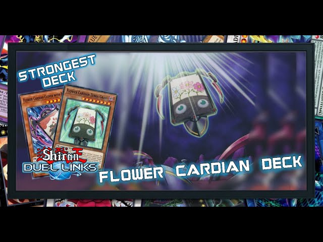 yugioh rebecca hawkins deck How to Farm Rebecca Hawkins