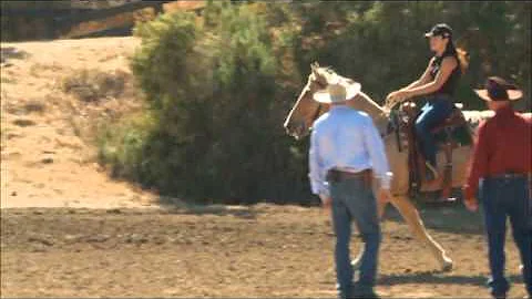 Charles Wilhelm - Gaited horses part 1 with Larry ...
