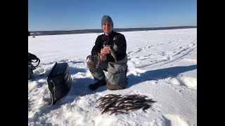 Рыбалка на окуня весной на блесны. Долгожданная рыбалка зимой! рыбалка класс