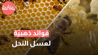 الفوائد الطبية للعسل ومنتجات النحل