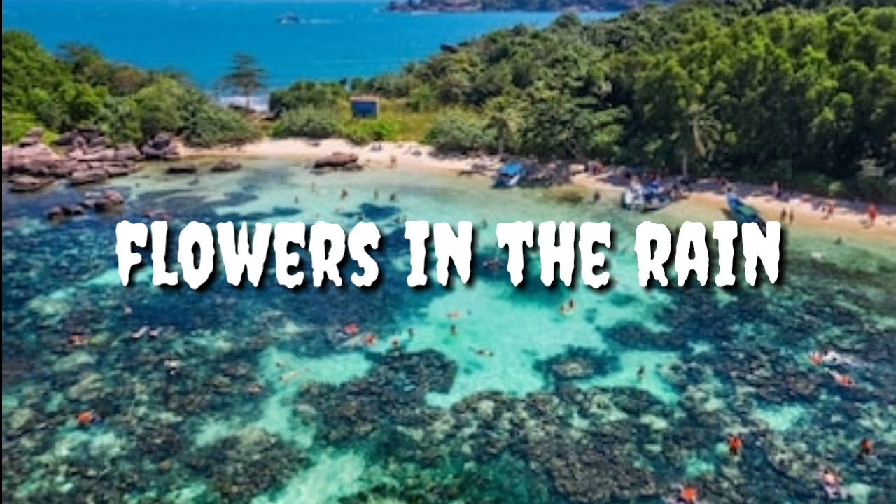 Flowers In The Rain Free Music For YouTube Video Inspirational Music YouTube