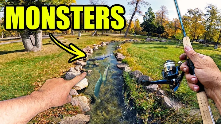 It SHOULDN'T be LEGAL to Fish this TINY Creek!! (PB Catch)