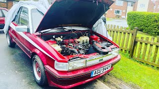 Barn Find Austin Maestro Cooper S 1983 the famous car and the story on it . Classic car