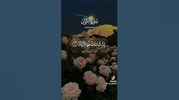 سورة الكوثر #اكسبلور #القزابري #الطحان #دويتو #المصحف #duet #تيك_توك #العظماء #لايك #الرحمن