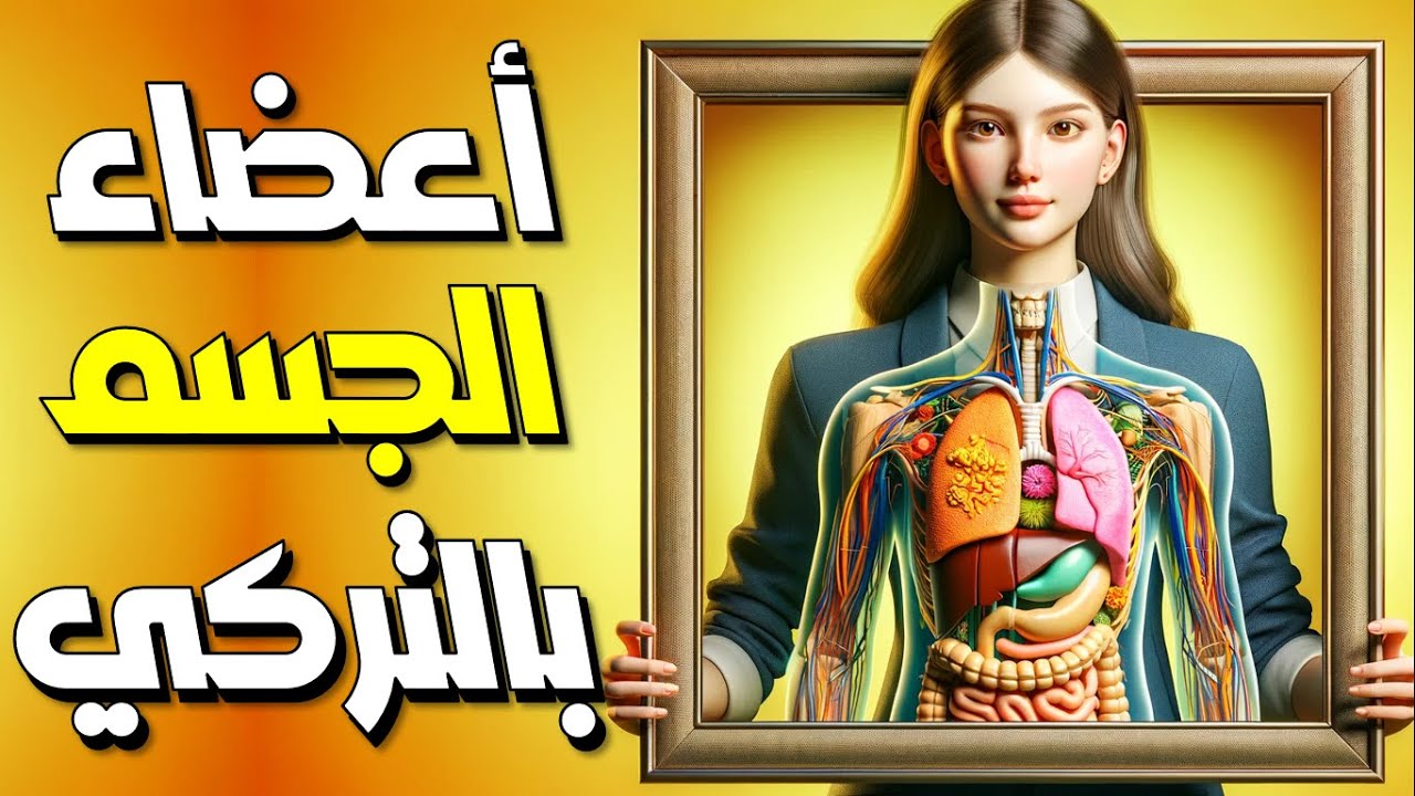أعضاء جسم الإنسان في اللغة التركية