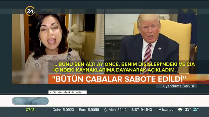 Eski FBI alan Sibel Edmonds konutu: ABD, Brunson'