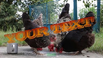 Tutorial - How to add text to video _ Using Proshow Producer