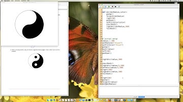 Exam Prep #6 (TigerJython): Problem 5 - Yin Yang