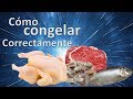 Cómo congelar carne, aves, mariscos, pescado u otras proteínas animales correctamente