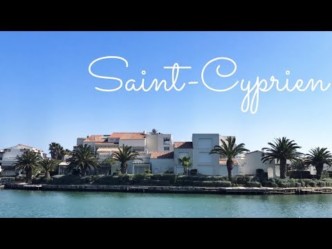France. Saint-Cyprien. Fox Fly film