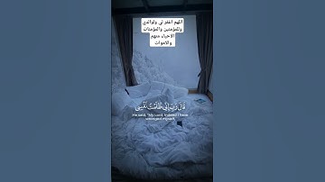 القران الكريم بصوت #قران_كريم #راحة_نفسية #لايك #اكسبلور #تيك_توك #ترند