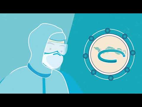 PPE Elastomer Outgassing Tech Tips