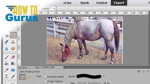 How You Can Use the Healing Brush in Photoshop Elements to Fix Imperfections