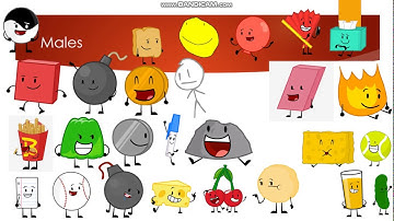 BFDI and Inanimate Insanity Viewer Voting Episode 8