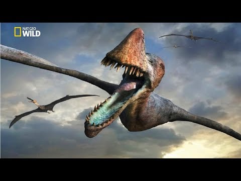 National Geographic - Flying Sky Monsters Pterosaur - نئی دستاویزی HD 2018