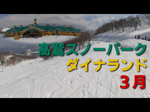 高鷲スノーパーク ダイナランド 3枚セット リフト券3枚組 高鷲スノーパーク＆ダイナランド共通1日リフト券