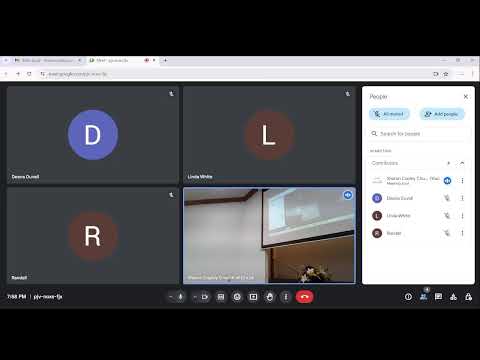 Video preview