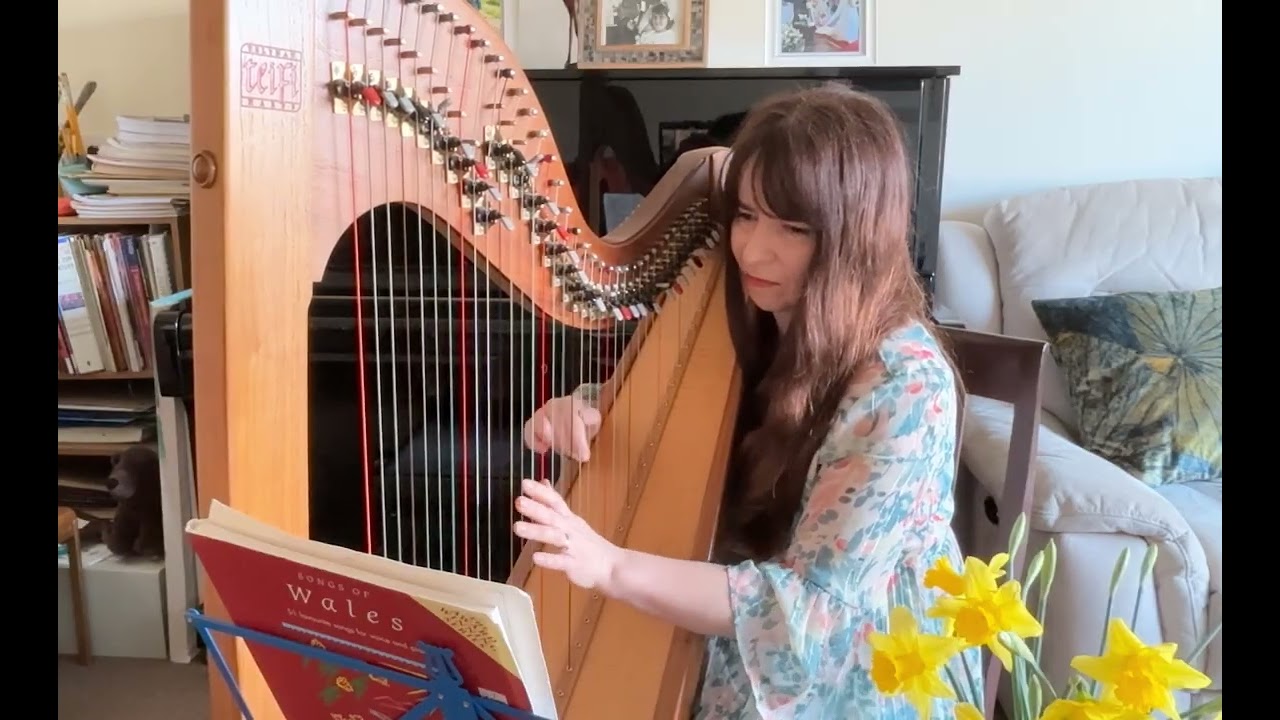 Calon Lân on the harp