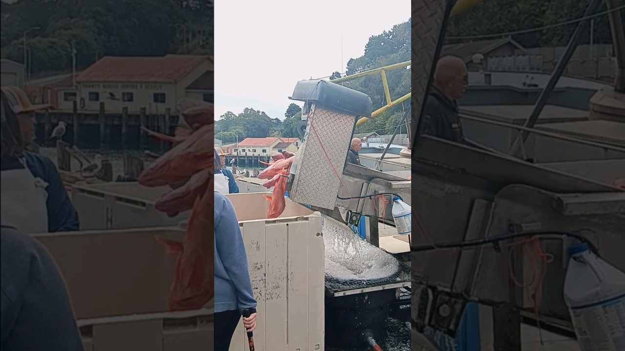 Noyo Harbor Fort Bragg Catch of the Day!