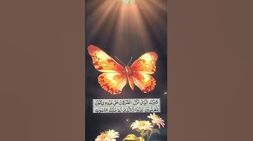 ✨ تلاوة خاشعة ومؤثرة من سورة الفرقان – آيات تلامس القلوب ✨