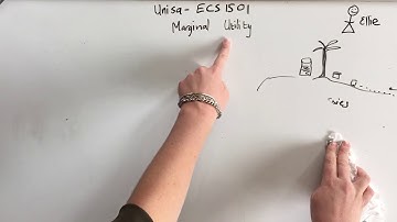 Unisa Economics 1: Marginal utility