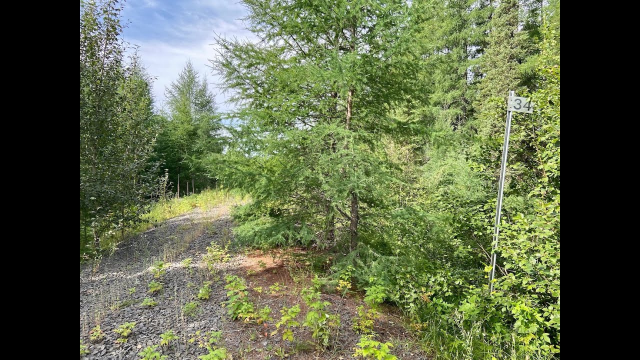 CNoR/CNKinghorn Subdivision MP 134.1137.1 II YouTube