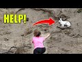 RESCUING A PET BUNNY OFF A CLIFF! (the hardest rescue I've ever done!)