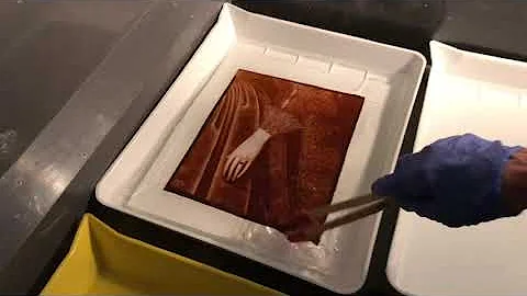 Artist in Residence - Salt Paper prints - Parham H...