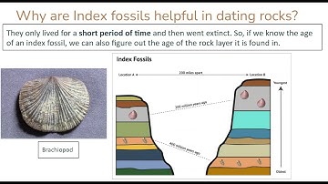 Index Fossils Practice