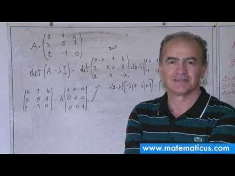 Calcolo degli autovalori di una matrice
