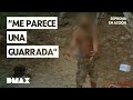 Campistas ilegales y caballos sin identificación | Seprona en acción