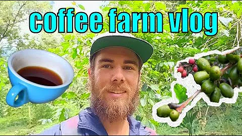 Leben und Arbeit auf einer Kaffee-Farm in Hawai'i - Vlog #1