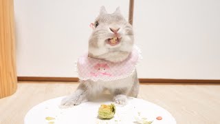 michi55ページ！お山の大将とうさちゃんたち！蓮の実で遊ぶうさ