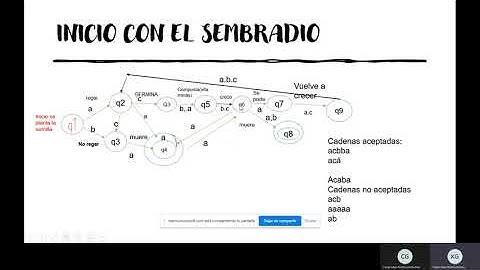 Proyecto de autómatas
