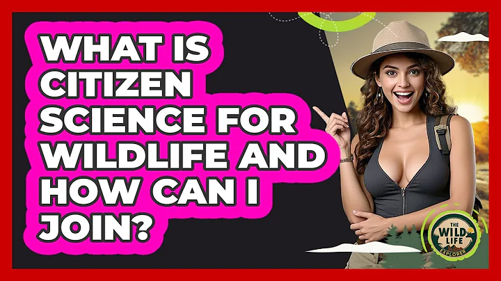 What Is Citizen Science For Wildlife And How Can I Join? - The Wild Life Explorer