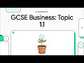 GCSE Business 1.1: Enterprise & Entrepreneurship (Visual Guide)