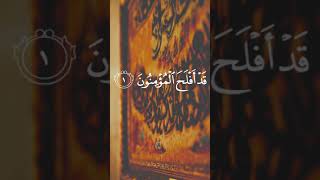 Surah Al Mu'minun | قَدْ أَفْلَحَ ٱلْمُؤْمِنُونَ | Sheikh Mukhtar Al Hajj #shorts #Quran