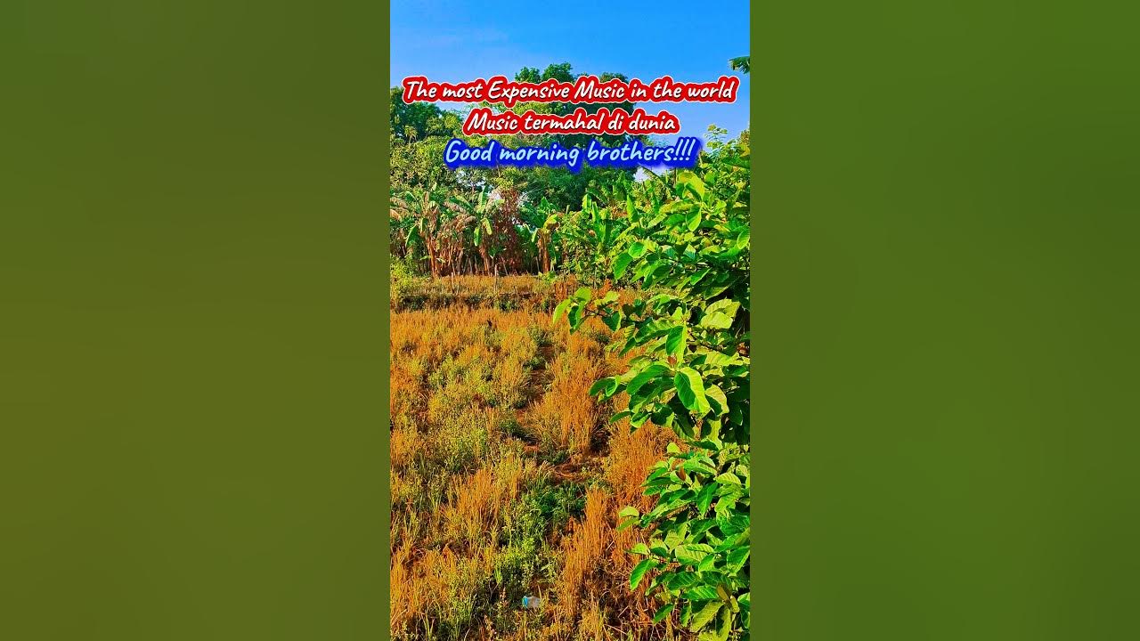 Refresh Your Power Spirits For Your Activities Today With Panorama refresh-your-power-spirits-for-your-activities-today-with-panorama