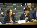 High level meeting of ministers of environment  parallel session 1