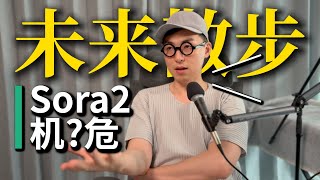 Sora2与AI红利的幻觉：重塑工作方式和人生曲线！