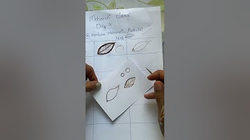 Free Mehandi Class Day 4 || Tanisha Mehandi Tutorial || #art #henna