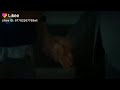 حياة مراد اغنية تركية بالتأكيد سأنسى