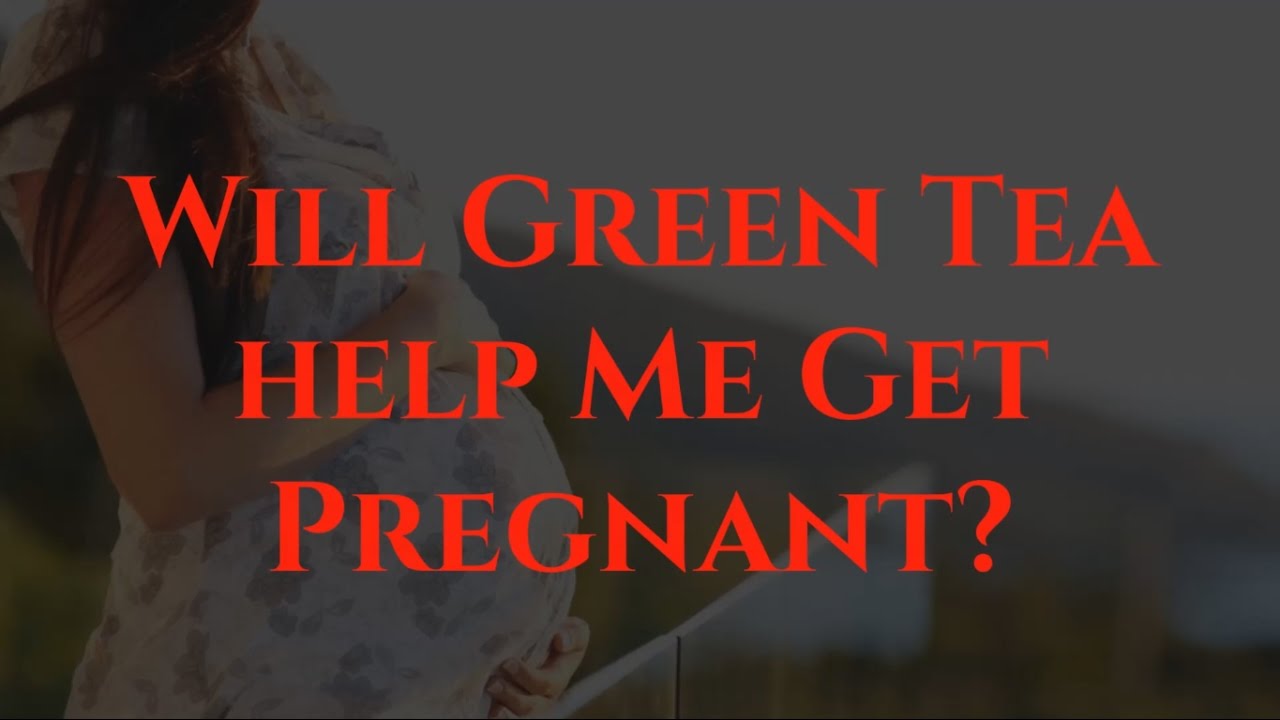 Will Green Tea Help Me Get Pregnant Your Perfect Answer YouTube Will Green Tea Help Me Get Pregnant Your Perfect Answer YouTube